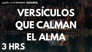 Las Promesas de Dios | Versiculos Biblicos Para Dormir