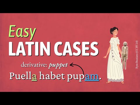 Nominative vs. Accusative — Theory, Practice, and Vocabulary!