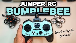 JUMPER BUMBLEBEE - How to set up the switches on the controller 