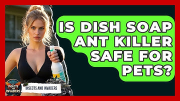 Is Dish Soap Ant Killer Safe For Pets? - Insects and Invaders