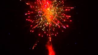 CGFP-509 2013