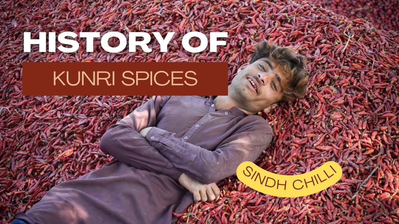 History of Chilli Market | Kunri.PK | Red Chilli | Dialogue Pakiatan | Sindh Pakistan