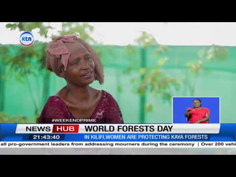 Kenyans join hands to celebrate World Forest Day