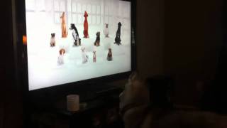 Akira watching dog tv screenshot 3