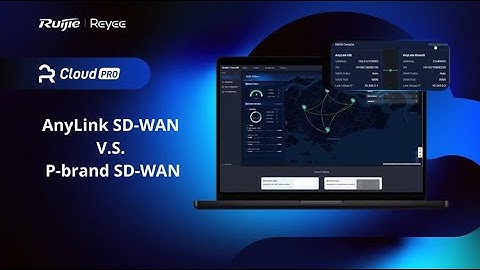 AnyLink SD-WAN V.S. P-brand SD-WAN