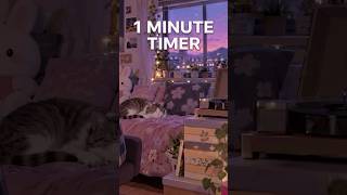 1 Minute Timer | Anime Cat #classroomtimer #classroomtimer #countdown #cutetimers #studytimer #timer