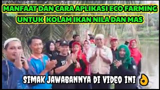 ECO FARMING MENJADI SOLUSI CERDAS BAGI PETAMBAK IKAN DI PRINGSEWU LAMPUNG,18 OKTOBER 2020