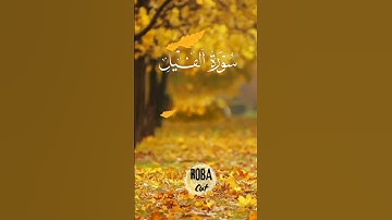 سورة الفيل / قرآن كريم #قران_الكريم #قرآن #الصلاة_على_النبي_صلى_الله_عليه_وسلم #الصلاة #رمضان #رمضان