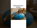 AI GENERATED FRUIT SOFA #fruit #flavorfulminiatures #fruitchopping #satisfying #minisatisfying