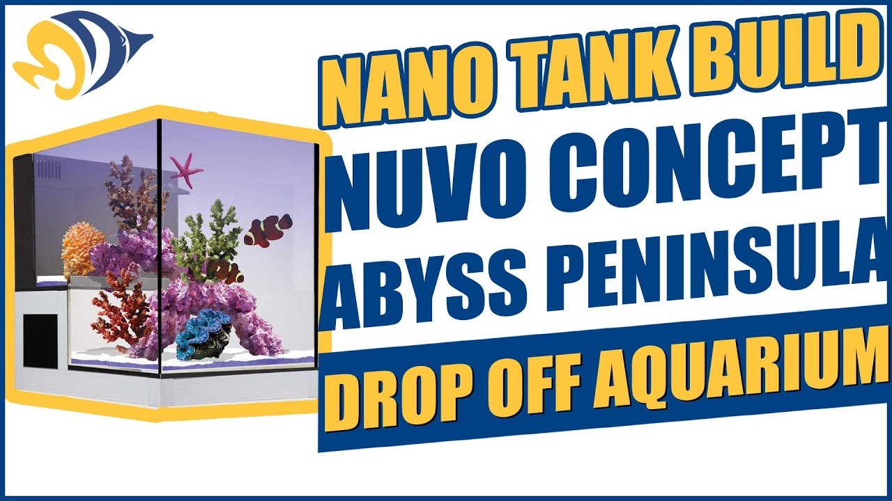nano tank build nuvo