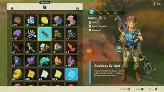 Recipe: Energizing Elixir | S0.3 | The Legend of Zelda: Tears of the Kingdom