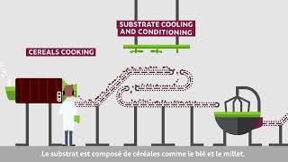 Loches Solid State Fermentation process