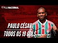 Todos os 19 gols de paulo csar com a camisa do fluminense