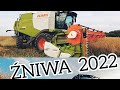 ŹNIWA RZEPAKU 2022 *CLAAS LEXION 660*850