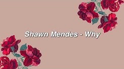 Shawn Mendes - Why { lyrics }