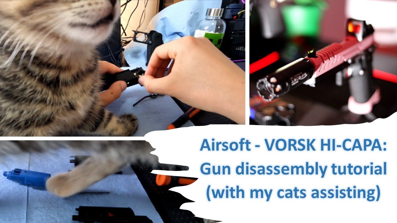 AIRSOFT Vorsk 4.3 HiCapa Disassembly Tutorial (with my cats as