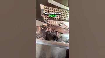 Dryer Not Drying? Lint Removal SAVES The Day! #dryervent #diy