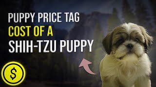 Puppy Price Tag Cost of a Shih Tzu Puppy