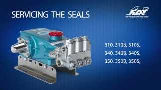 Servicing Seals - Cat Pumps Model 310, 340, 350, 30, 31, 34, 35 screenshot 5