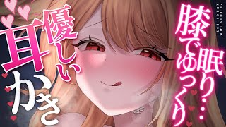 セラCh.【PROMISU】の配信のサムネイル画像