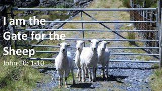 I am the Gate for the Sheep