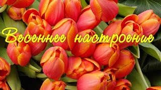 ✿✿✿Весеннее настроение✿✿✿ Хорошего дня!