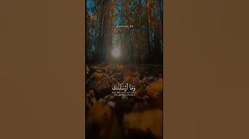 #رعد_الكردي /ماتيسر من سورة الأنبياء/#قرآن #قران #قران_كريم #ماهر_المعيقلي #هزاع_البلوشي #اكسبلور