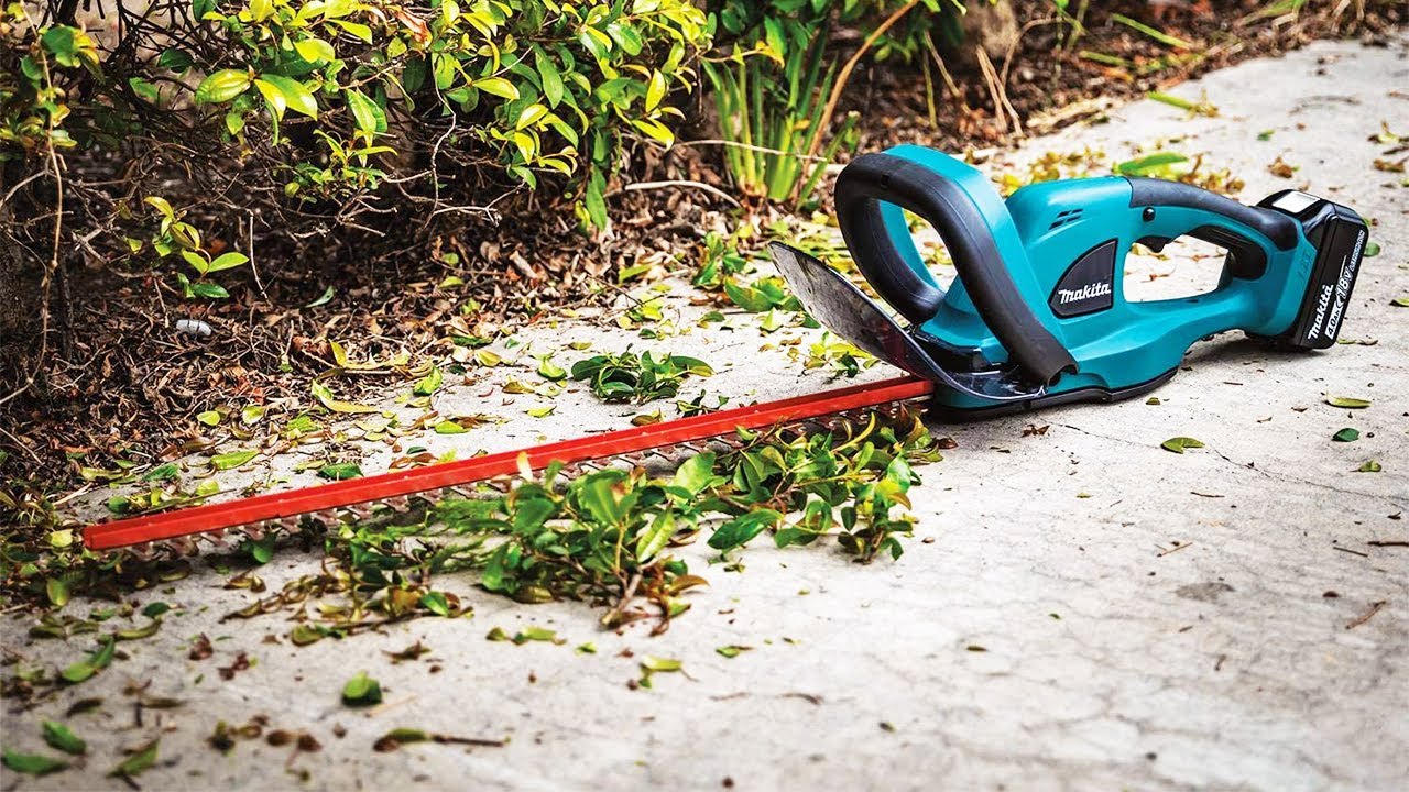 The Best Hedge Trimmers of 2023 - YouTube