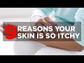 9 reasons your skin is so itchy  health