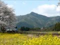 錦川鉄道　錦川清流線　桜と、菜の花と、せせらぎ号 2009/04/02