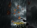 The Amazing Journey of Monarch Butterflies
