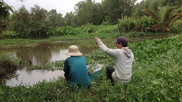 địa điểm câu cá rô đồng lý tưởng,cảnh đẹp ,nhiều cá.