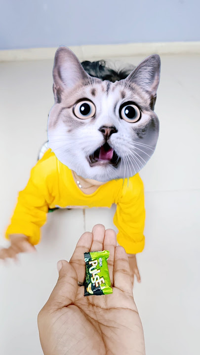 Billi boli meow meow 🙈🙈🤪🤪😻😻😹😹🐾😻😻 #funny #cat #trendingshorts #shorts #viralshorts #billi #cute