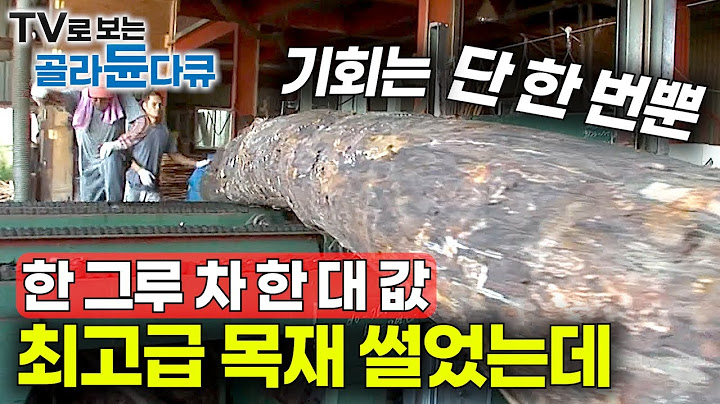 “잘 못 자르면 끝. 두 번은 없다” 한 그루에 차 한 대 값인 나무. 200살 금강송을 썰었는데｜콘크리트 시대를 살아가는 대 목수｜낙산사 복원 작업｜극한직업｜#골라듄다큐