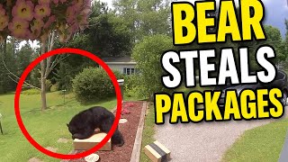 Caught on Camera: Bear Steals Amazon Packages!