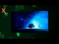 Enya - The Memory of Trees (Instrumental)