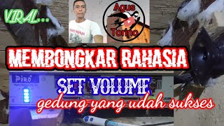 setelan voleme sukses gedung walet usia 3  tahun 11 bulan.ini caranya