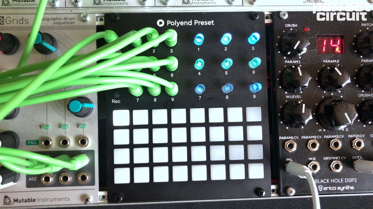 Polyend Preset Macro Controller + Sequencer - Perfect Circuit