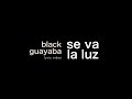 BLACK GUAYABA - SE VA LA LUZ (Lyric video)