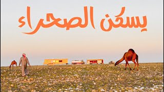سلسلة الصحراء_ عند سعود سعيد🐪🏜️