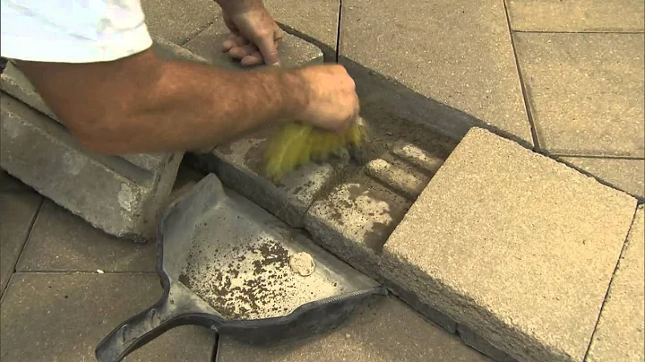 Casa Scapes Adhesive