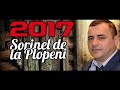 MUZICA LAUTAREASCA 2017 PROGRAM SUPER COLAJ SORINEL DE LA PLOPENI ASCULTARE 2017
