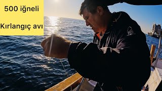 2024 yılının ilk balık avı İstanbul boğazında kırlangıç avı
