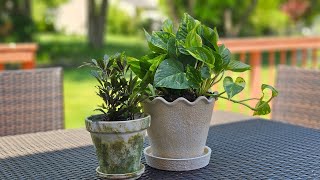 DIY Weathered Terracotta Pots: Easy Cottage Decor Hack!