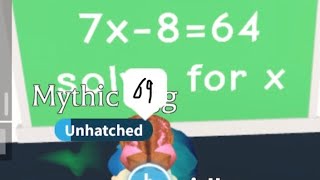 Asking Adopt Me Players Math Questions