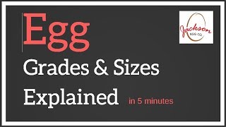 Egg Grades & Sizes Explained in 5 Minutes