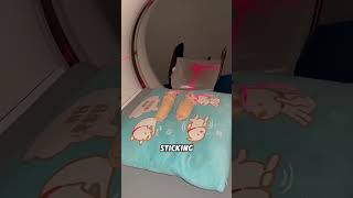 Did You Know That This Is How Ct Scans Are Performed On Animals?
