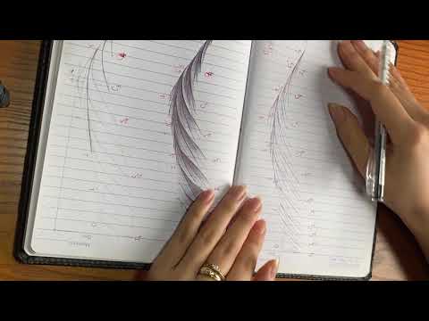 Video LESSON 4: HAIRSTROKES SPINE 2,5/ HƯỚNG DẪN NHẤN SỢI... - youtube