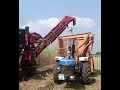 sugarcane cutting machine ll#shorts #shortsfeed #youtubeshorts #sugarcane #machine #cutting #farmers