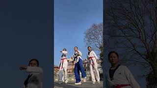 Trend song✅🫶🏻#taekwondo